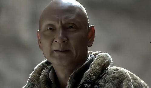 雪豹演员表全部,实力派明星齐聚，演绎传奇抗战故事