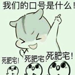 女死肥宅表情包