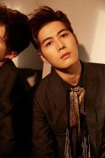 陈学冬图片大全,图片大全中的风采展示