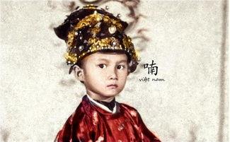 皇太子照片,照片中的尊贵气质与未来展望