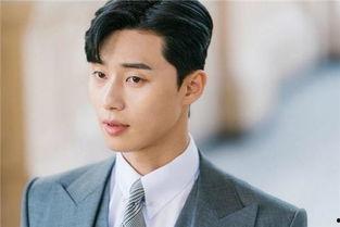 明星成功,揭秘明星成功背后的故事