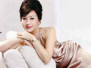 赵雅芝的老公个人资料,揭秘香港影视圈传奇人物背后的低调人生